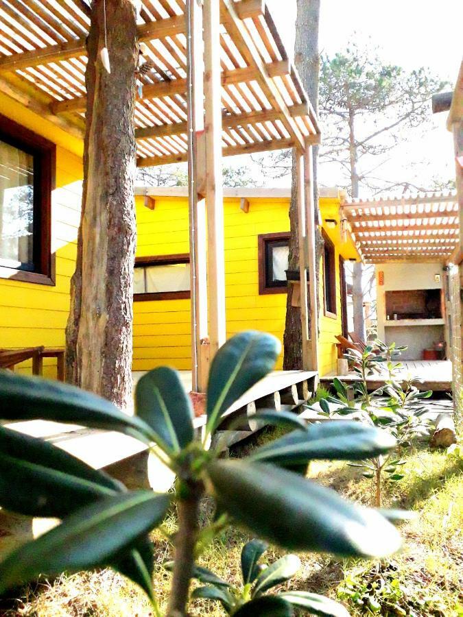 Diabro'S Villa Punta Del Diablo Exterior foto